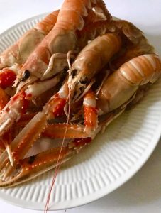 Norway lobster