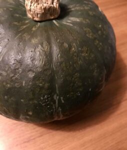 Japanese pumpkin